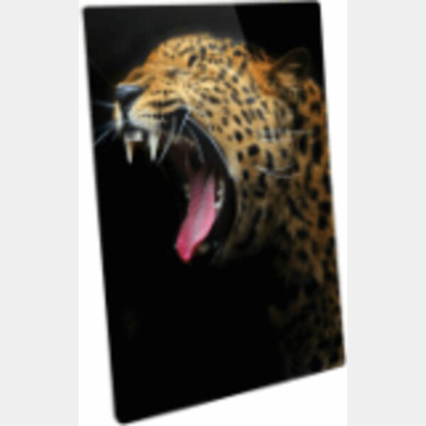 5" x 7" Semi-Gloss ChromaLuxe Aluminum Photo Panel Thumbnail