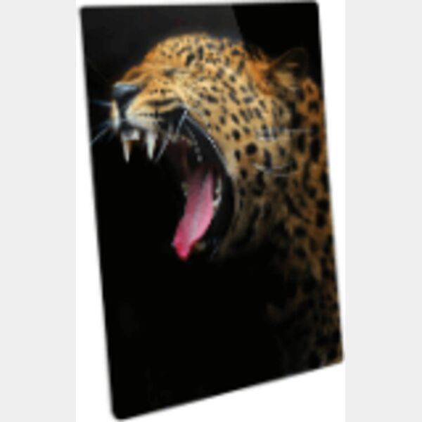 16" x 24" Semi-Gloss ChromaLuxe Aluminum Photo Panel Thumbnail