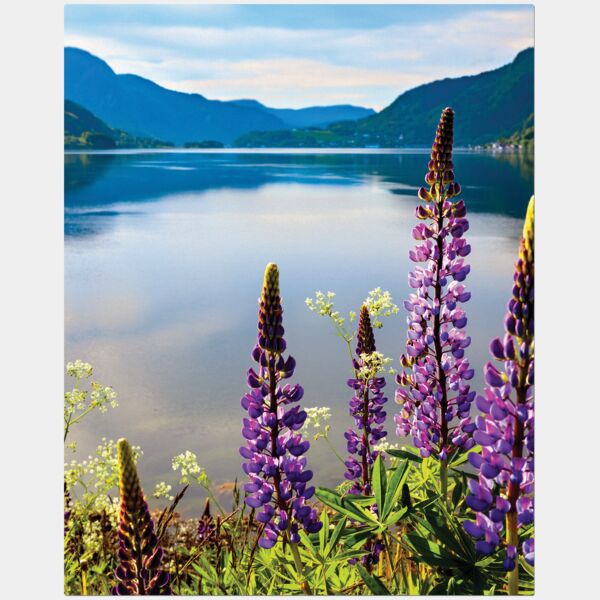 8" x 10" ChromaLuxe Textured Aluminum Photo Panel Thumbnail