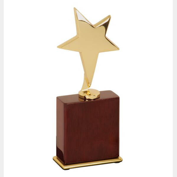 7 1/2" Star Award on Piano Finish Base Thumbnail