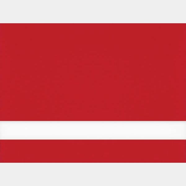 24" x 49" x 1/16" / Matte Duets Laser XT Plastic with Orafol Adhesive Thumbnail