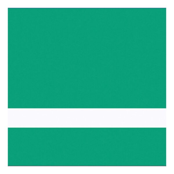 24" x 49" x 1/16" Matte Spring / Gemini Duets Selects Thumbnail