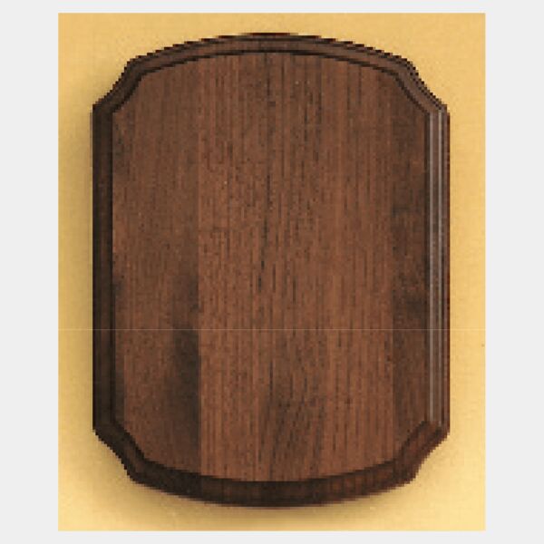 11" x 15" Airflyte American Plaque Thumbnail