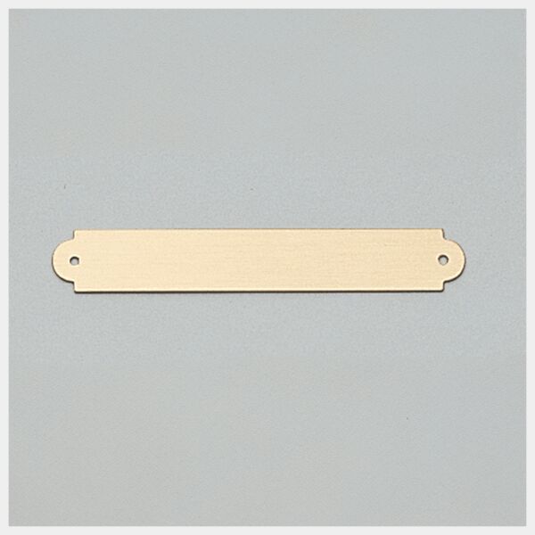 3/8" x 2 1/2" Brushed Brass Plate with Two Holes Thumbnail