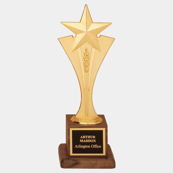 3 1/2" x 10" Modern Goldtone Star Casting on a Finish Base with Laserable Brass Plate Thumbnail